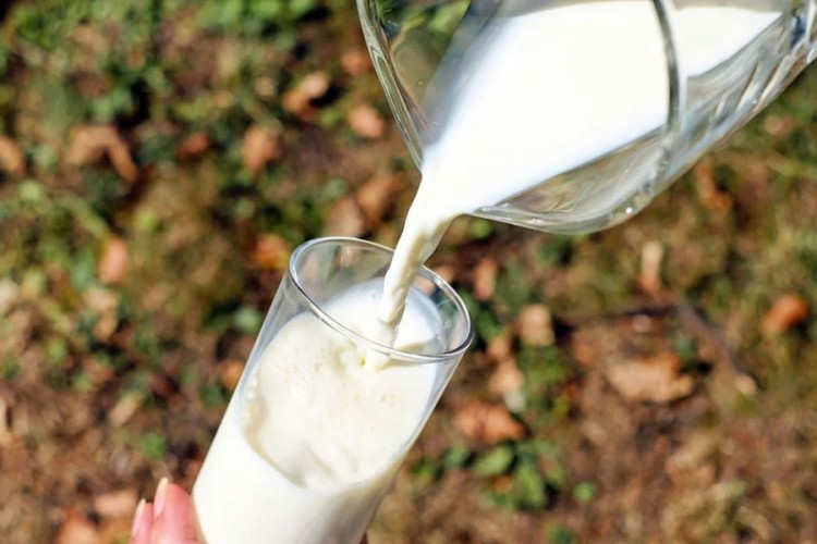 Lactalis pod istragom zbog utaje poreza