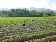 Nezadovoljni farmeri i željezničari